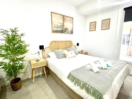 Designer and Quiet Studio 5 min to Maria Zambrano Station and 15 min walk to Beach photo 20