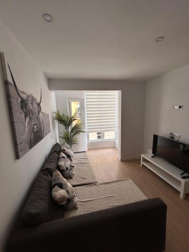 una sala de estar con un sofá y un televisor en Padre Anchieta 35 - 2, en Santa Cruz de Tenerife