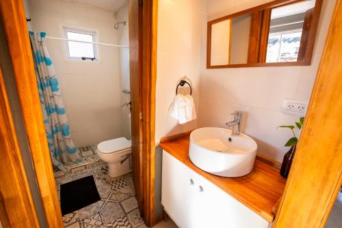シエラ・デ・ラ・ベンターナにあるPillahuinの洗面台とトイレ付きのバスルーム