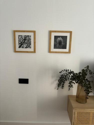 two pictures on a white wall with a vase with a plant at Victrix Homes in León
