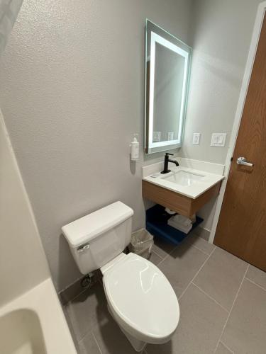 a bathroom with a white toilet and a sink at Microtel Inn & Suites by Wyndham Sioux Falls in Sioux Falls
