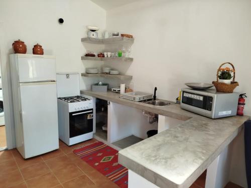 a kitchen with a white refrigerator and a counter at Casas do Montinho in Melides