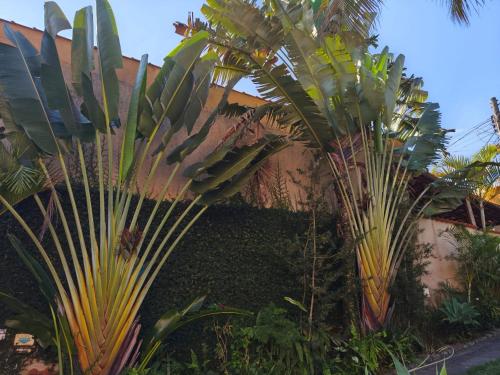 two palm trees in a garden next to a building at Pousada Nascente do Pirahy in Piraí