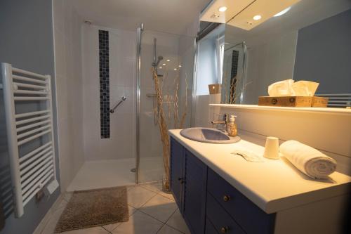 a bathroom with a sink and a shower at Domaine des demoiselles - Chambres d'hôtes et Spa in Hauteville