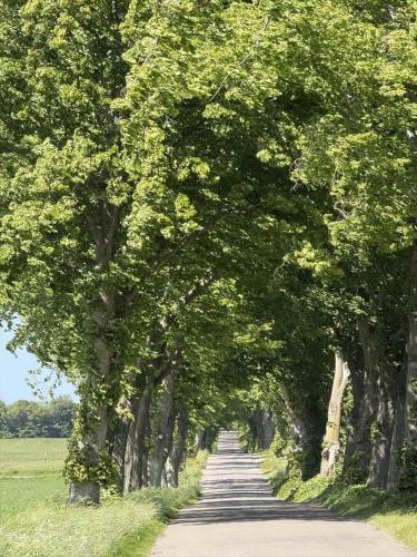 Gallery image of 6040-Stege-Rytsebaekvej-39 in Stege