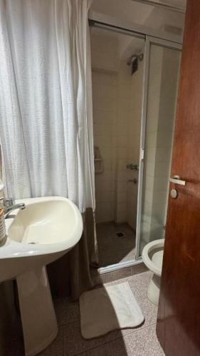 La salle de bains est pourvue d'un lavabo, d'une douche et de toilettes. dans l'établissement Ayacucho loft, à Córdoba