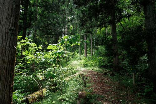 a dirt trail in a forest with trees at Hotel Kikori in Hida