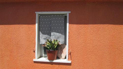 Foto dalla galleria di B&B Agorà Sarzana a Sarzana