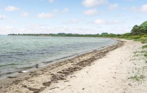 a sandy beach with water and trees in the background at Gorgeous Home In Sydals With Wifi in Østerby