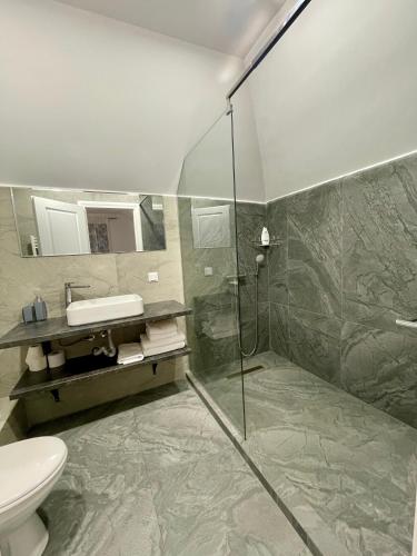 a bathroom with a shower and a toilet and a sink at Vila Eden Pestera in Peştera