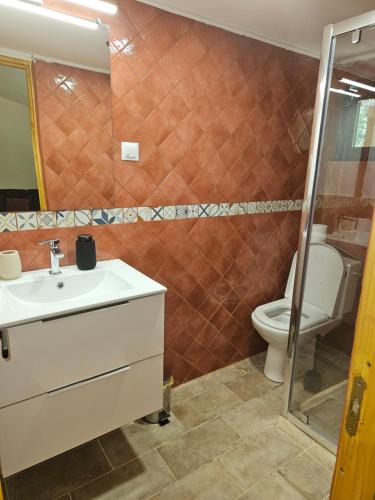 a bathroom with a sink and a toilet at Parcul Manga 