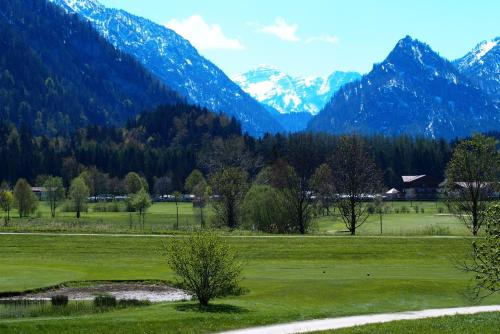 a field of grass with mountains in the background at Landhaus Heinrich in Ruhpolding