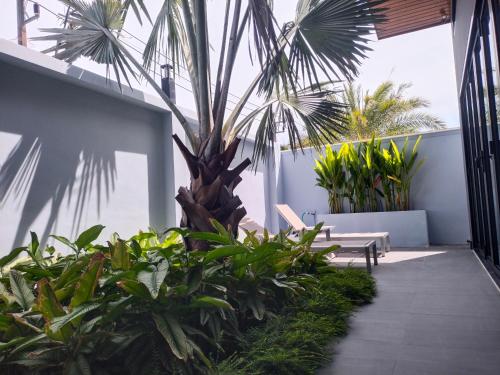 a courtyard with a palm tree and a bench at Rawai Villa in Rawai Beach