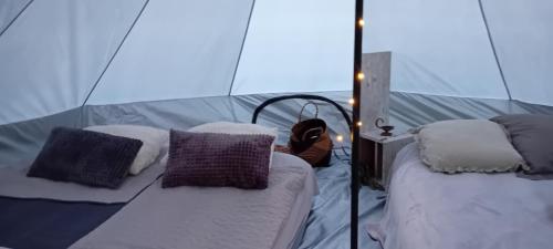 a room with two beds in a tent at Camp, tent jurta for 4 guests, Ljubljana, shared bathroom and outdoor kitchen in Mrše