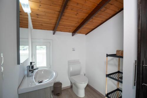 a bathroom with a white toilet and a sink at Garden Olive Luxury Villa in Archangelos