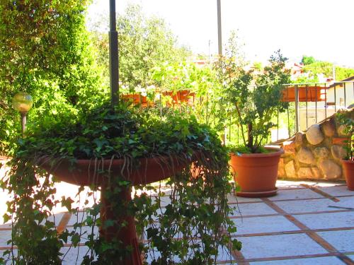 a garden with plants in pots on a patio at Borgo Piccolo in Cavaion Veronese
