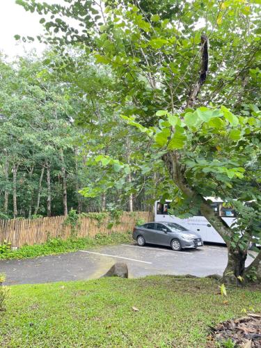 Gallery image of The Cliff and River Jungle Resort ภูผาและลำธารรีสอร์ท in Ban Bang Thong