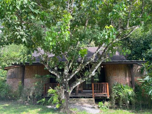 Gallery image of The Cliff and River Jungle Resort ภูผาและลำธารรีสอร์ท in Ban Bang Thong