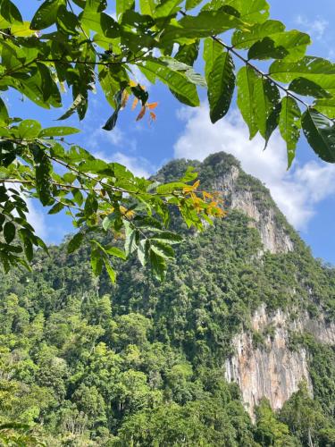 Gallery image of The Cliff and River Jungle Resort ภูผาและลำธารรีสอร์ท in Ban Bang Thong
