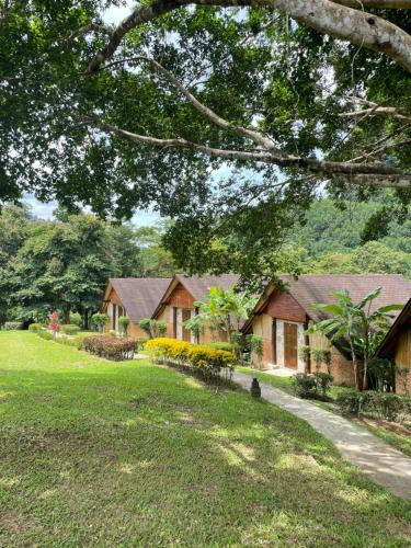 Gallery image of The Cliff and River Jungle Resort ภูผาและลำธารรีสอร์ท in Ban Bang Thong