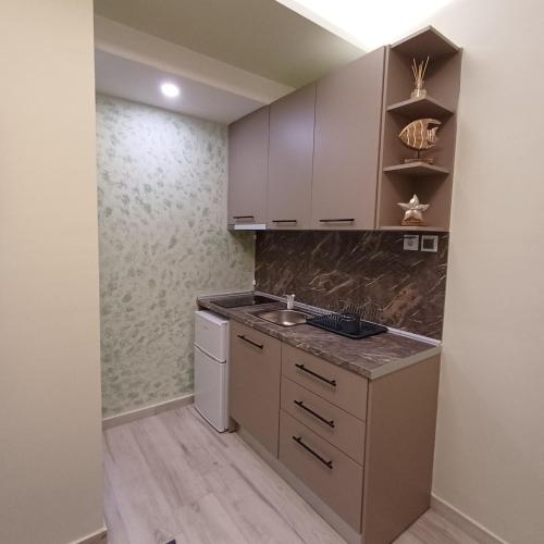 a small kitchen with a sink and a dishwasher at Central Modern Living Apartment 1 in Eleftheroúpolis