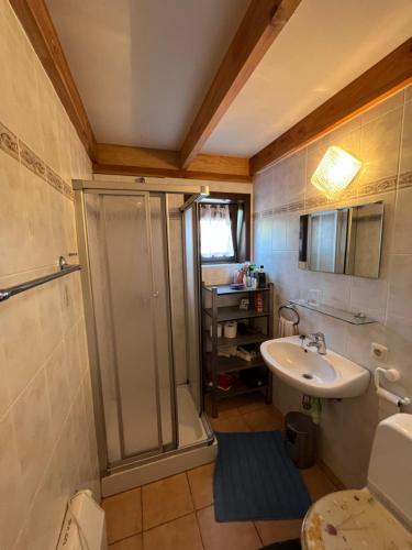 ブレーデネにあるVakantiewoning Hélèneのシャワーと洗面台付きのバスルーム