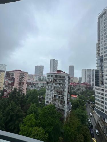 a view of a city with tall buildings at Pirosmani Mini Hotel in Batumi