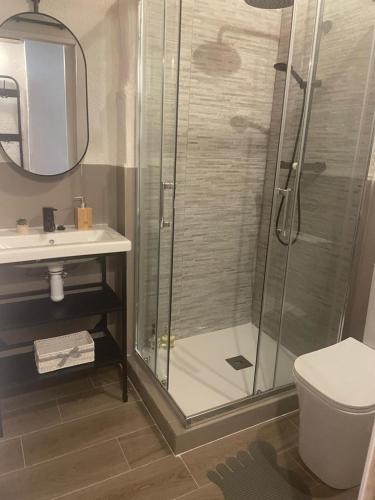 a bathroom with a shower with a sink and a toilet at La Terreta hotel casa rural in El Brosquil