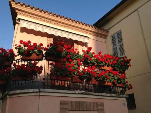a bunch of red flowers on a balcony at BellaVista Bike Stop in Spoltore