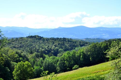 a view of a green forest with mountains in the background at Haus Schönegger in Kitzeck im Sausal