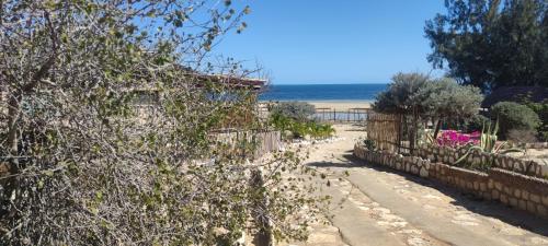 a path leading to a beach with a fence and trees at Villa Nature in Toliara