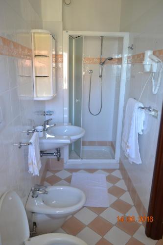 a bathroom with a shower and a toilet and a sink at Hotel Abruzzo in Pineto