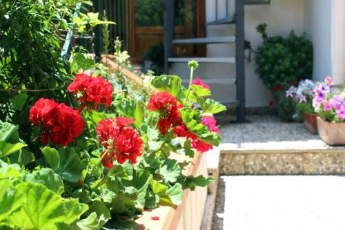 Gallery image of Raggio di Sole Bed & Breakfast in Macari