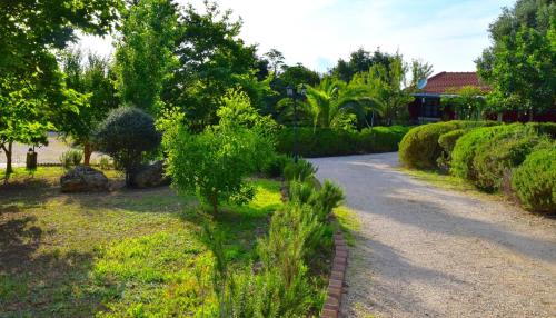 a road in a yard with trees and a house at Dendrolivano in Minia