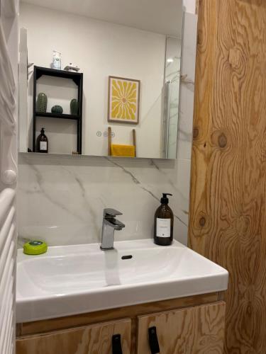a bathroom with a white sink and a mirror at Eden Studio in Ajaccio