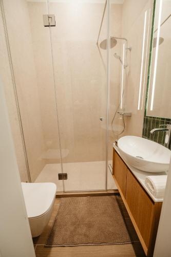 a bathroom with a shower and a toilet and a sink at Villa Botar in Cluj-Napoca