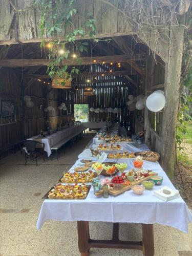 une longue table remplie d'assiettes de nourriture dans l'établissement Gîte Les Mareillauds - Piscine, à Salon