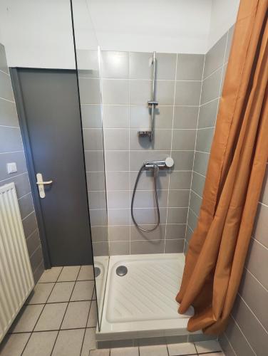a shower with a shower curtain in a bathroom at Aux Portes des Monts d'Aubrac in Espalion