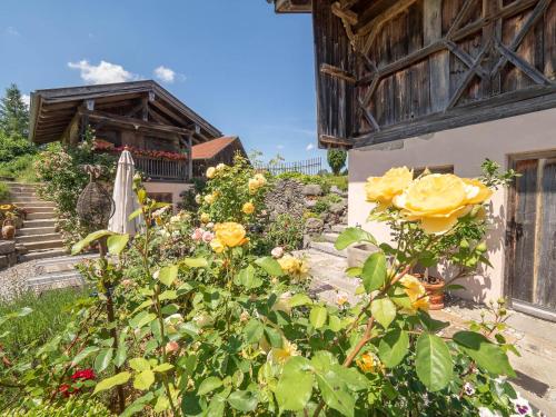 a garden with yellow roses in front of a house at OSWALD anno 1714 in Obing