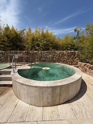 a hot tub with green water in the middle at Casale Terre Rosse in Saturnia