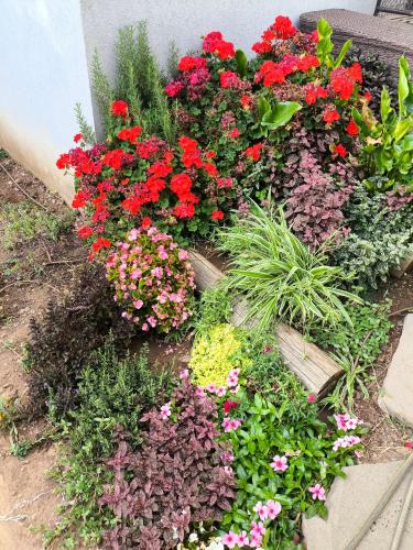 a flower garden with red flowers and plants at פשוט גולן in Bruchim Qela' Alon