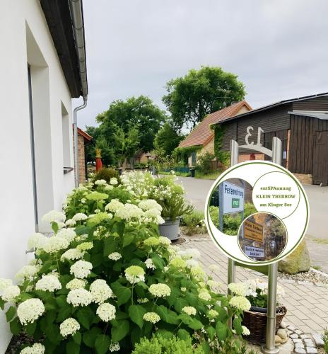 a mirror in front of a bush of white flowers at Fewo - Entspannung - Klein Trebbow in Neustrelitz