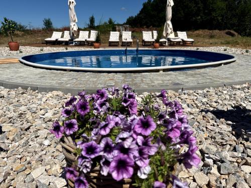 a bunch of purple flowers in front of a pool at Pointview House Gesha in Dryanovo