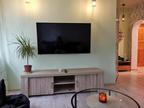 TV a/nebo společenská místnost v ubytování Jõesuu Home Accommodation
