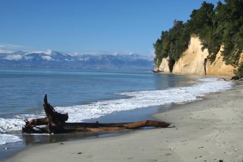 a dead tree laying on a beach next to the water at Almyra Waterfront Accommodation in Tasman
