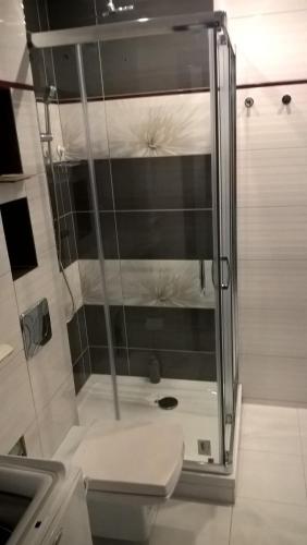a bathroom with a shower with a toilet and a sink at Mieszkanie Tarnów in Tarnów