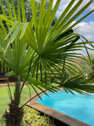 Kolam renang di atau dekat dengan Choisy le Jacuzzi