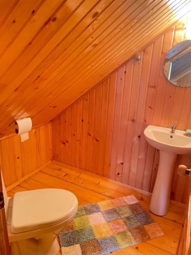 a bathroom with a toilet and a sink at Три смерічки in Beloberëzka