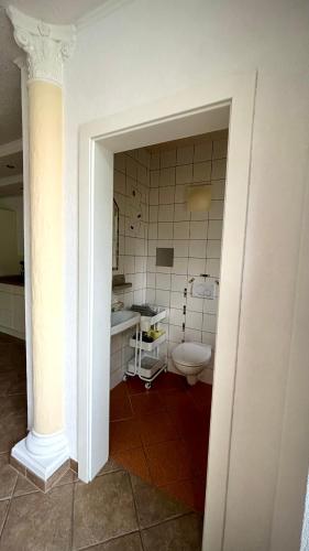 a bathroom with a toilet and a sink at Ferienwohnungen Panorama Harrys Bike Tours in Villach
