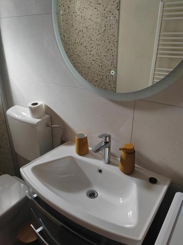 a bathroom with a white sink and a mirror at Karla in Sveta Nedelja